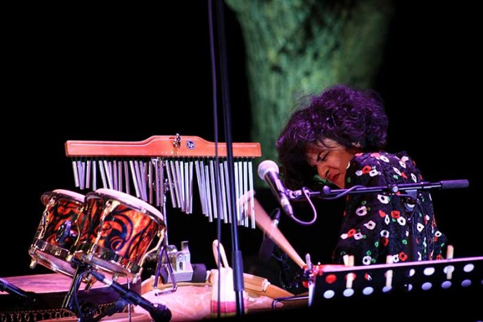 percussion photographer bormes les mimosas la Londe jazz festival